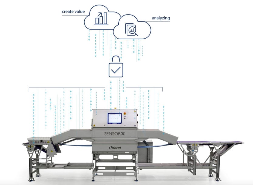 MAREL: 5 QUESTIONS ABOUT SMARTBASE